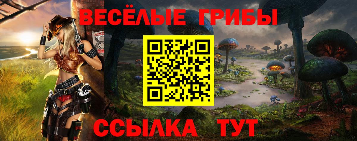 Галлюциногенные грибы Psilocybe Берёзовский